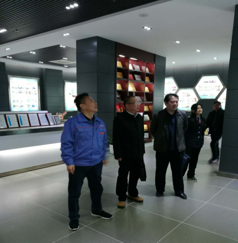 王濤副局長一行參觀公司展廳